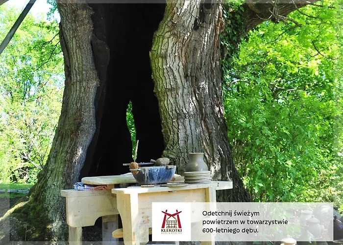 Ośrodek wypoczynkowy Spa&resort 4*